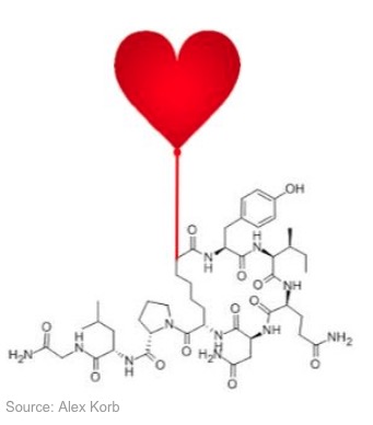 Getting Geeky About Oxytocin